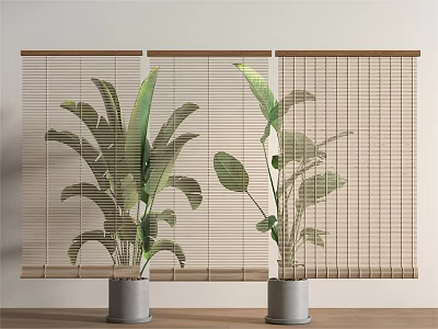 Beige Wooden Window Blinds With Green Plants In Gray Pots Interior 3d model