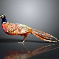 Vibrant Pheasant With Colorful Plumage And Long Tail Feathers Standing On Smooth Surface With Reflection