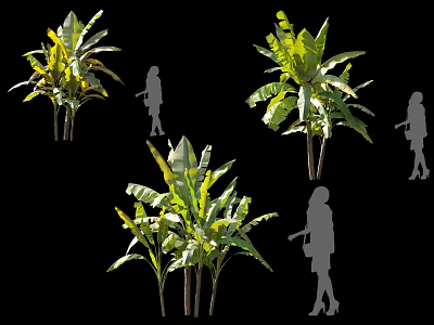 Tall Arbor Trees With Large Green Leaves And Silhouette Human Figures 3d model