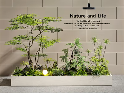 Nature and Life Themed Indoor Greenery Arrangement With Brick Wall Background 3d model