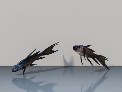 Two Dark Reptiles With Long Tails On Smooth Reflective Surface 3d model