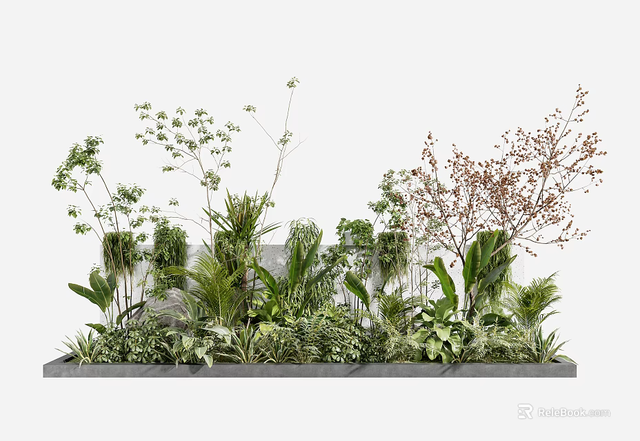 Lush Various Green Plants And Red Leaved Plants In Long Gray Planter With White Background 3d model 