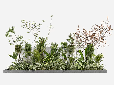 Lush Various Green Plants And Red Leaved Plants In Long Gray Planter With White Background 3d model