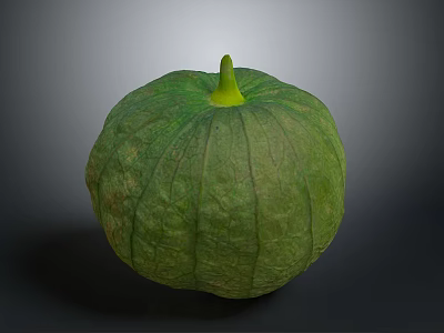 Organic Fresh Green Round Pumpkin With Textured Skin And Yellow Stem 3d model