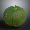 Organic Fresh Green Round Pumpkin With Textured Skin And Yellow Stem