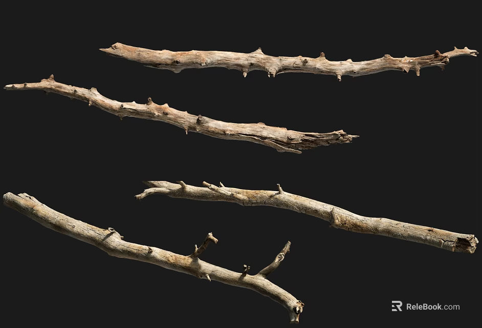 Natural Dried Branches with Thorns Decorative Ornament Set on Black Background 3d model 