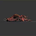 Dried Chili Peppers Arranged On A Black Plate With Dark Background 3d model