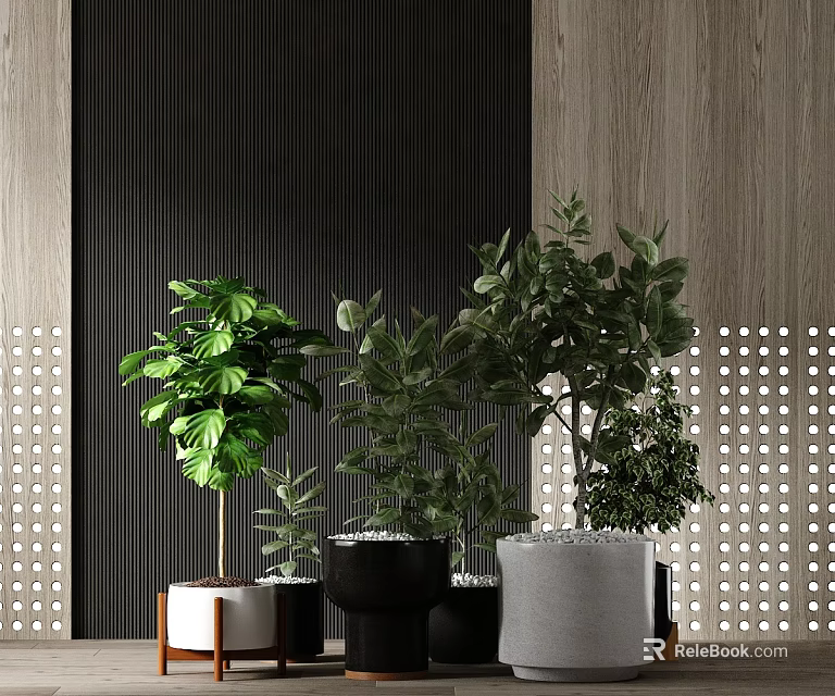 Various Bonsai Potted Plants In Modern Indoor With Green Foliage And Stylish Planters 3d model 