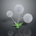 Three White Dandelion Like Flowers With Green Leaves On Dark Background And Reflection
