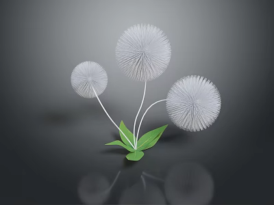 Three White Dandelion Like Flowers With Green Leaves On Dark Background And Reflection 3d model