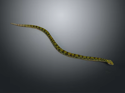 Yellow and Black Patterned Snake Slithering on Gray Background with Curved Body 3d model