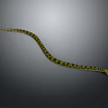 Yellow and Black Patterned Snake Slithering on Gray Background with Curved Body