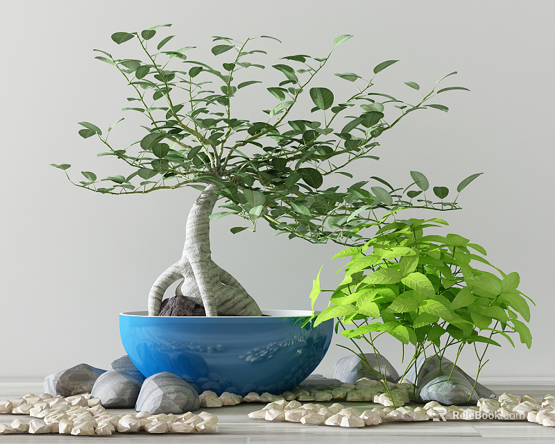 Bonsai Plant In Blue Ceramic Bowl Pot With Green Leaves And Pebble Decoration 3d model 