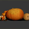 Fresh Orange Pumpkin Fruit Display With Other Gourds On Dark Background