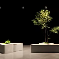 Urban Road Facilities Featuring Wooden Platform With Planters And Greenery Tree