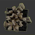Coral Shaped Sculpture Placed on Black Base for Decorative Art