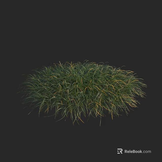 Lush Green and Yellow Grass with Rounded Shape on Black Background 3d model