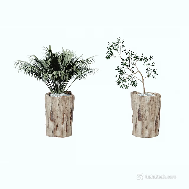 Bonsai Potted Plants In Natural Wooden Pots With Palm Like Green Plant And Leafy Tree Bonsai Design 3d model 