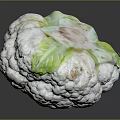 Fresh Cauliflower with White Florets and Green Leaves on Dark Reflective Background