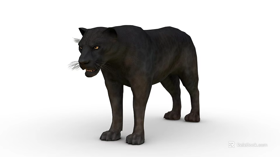 Realistic 3D Rendered Wild Black Panther Standing Posture With Sharp Eyes And Black Fur 3d model 
