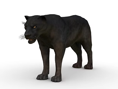 Realistic 3D Rendered Wild Black Panther Standing Posture With Sharp Eyes And Black Fur 3d model