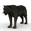 Realistic 3D Rendered Wild Black Panther Standing Posture With Sharp Eyes And Black Fur