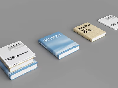 Colorful Books Collection With Blue Beige White Covers And LET IT SNOW Anywhere Book Titles 3d model