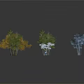 Different Types of Trees with Various Colors and Shapes on Gray Background