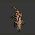Fierce Spiked Spotted Creature 3D Model With Sharp Teeth And Powerful Limbs