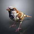 Cute Sparrow Shaped Decorative Resin Figurine Home Living Room Table Accessory Decoration Piece
