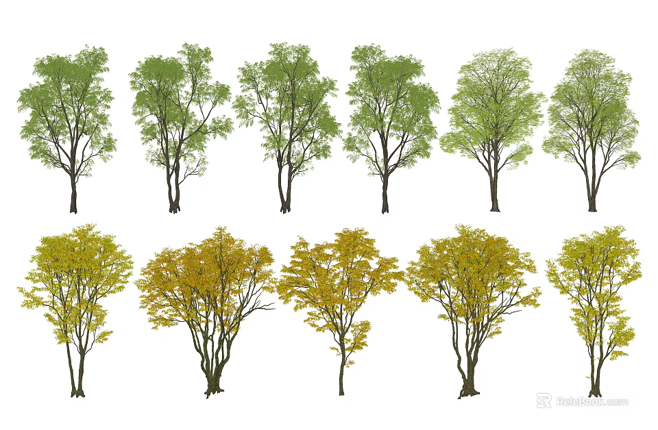 Various Arbor Trees With Green And Yellow Leaves In Different Shapes For Design 3d model 