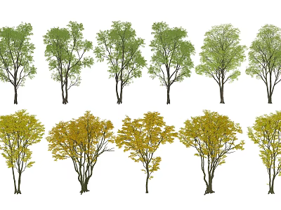 Various Arbor Trees With Green And Yellow Leaves In Different Shapes For Design 3d model