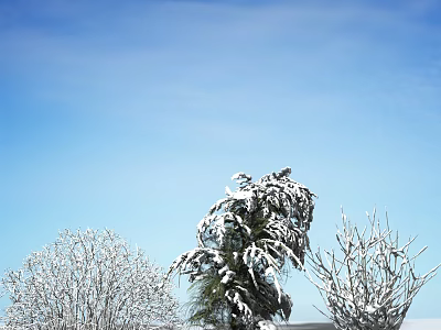 Snow Covered Shrubs in Winter Landscape Under Clear Blue Sky 3d model