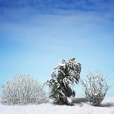 Snow Covered Shrubs in Winter Landscape Under Clear Blue Sky 3d model