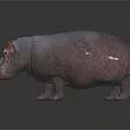 Realistic Gray Hippopotamus Standing On Dark Reflective Surface With Smooth Skin