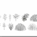Diverse Deciduous Trees With Snow Covered Branches And Various Canopy Shapes