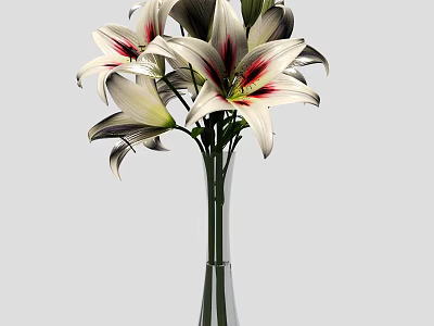 Elegant White Lilies In Tall Clear Glass Vase With Red Stamens And Dark Petals 3d model