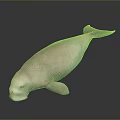 Pink Dugong as Aquatic Animal on a Dark Background with Reflective Surface