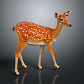 Brown White Spotted Deer With Pink Ears Standing On Dark Background