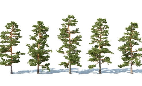 The Modern Tree 3d model