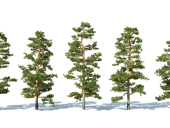 The Modern Tree 3d model