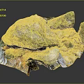 Natural Rock Scene With Moss Covered Stones Dirt And Small Stream