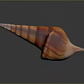 Intricately Carved Conch Shell Sculpture With Spiral Shape Orange Red Stripes On Black Reflective Surface