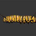 Yellow and Black Striped Caterpillar With Antennae on Shiny Surface