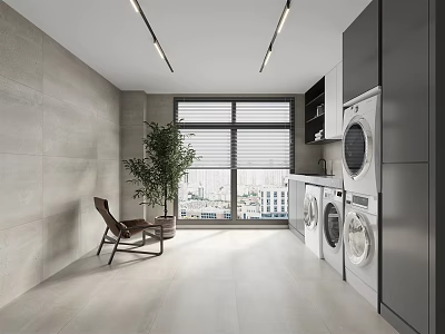 Modern Laundry Room Interior With Washing Machine Dryer Window Plant And Chair 3d model