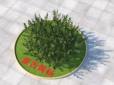 Green Boxwood Shrubs In Circular Flower Bed With Lush Grass Outdoor 3d model