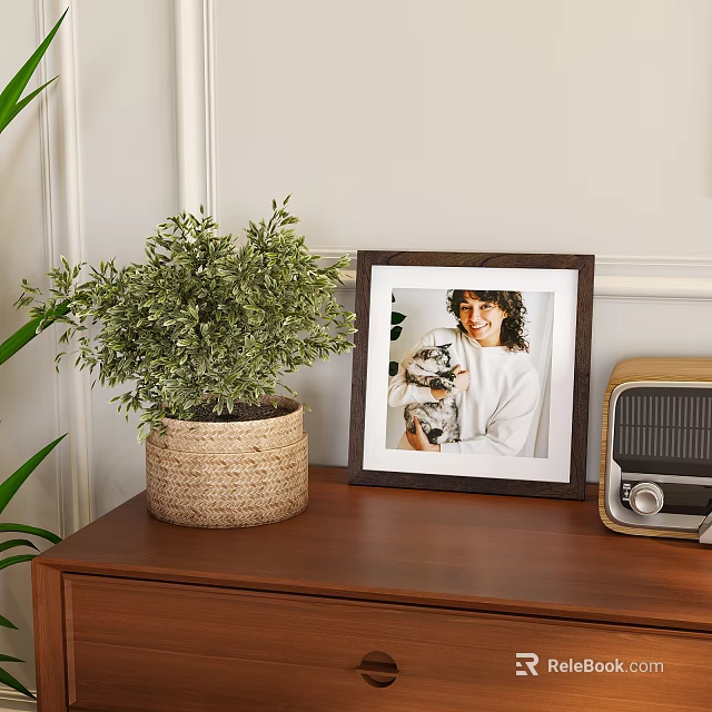 Wooden Frame With Photo On Wooden Cabinet Near Potted Plant And Radio Against Light Wall 3d model 