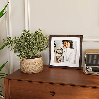 Wooden Frame With Photo On Wooden Cabinet Near Potted Plant And Radio Against Light Wall 3d model