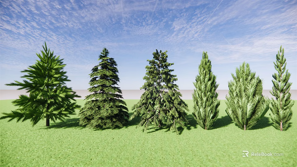 Various Evergreen Trees Growing On Lush Green Grassland Under Blue Sky 3d model 