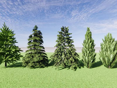 Various Evergreen Trees Growing On Lush Green Grassland Under Blue Sky 3d model